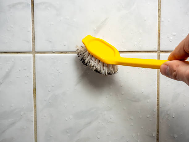 Best Water Damage Restoration  in Williamstown, NJ