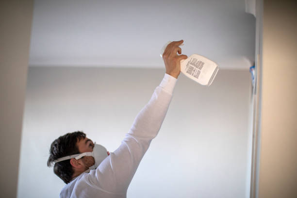 Best Affordable Mold Removal  in Williamstown, NJ